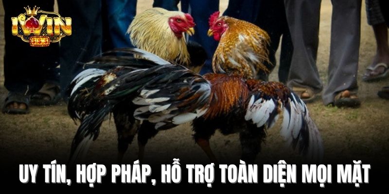 Uy tín, hợp pháp, hỗ trợ toàn diện mọi mặt